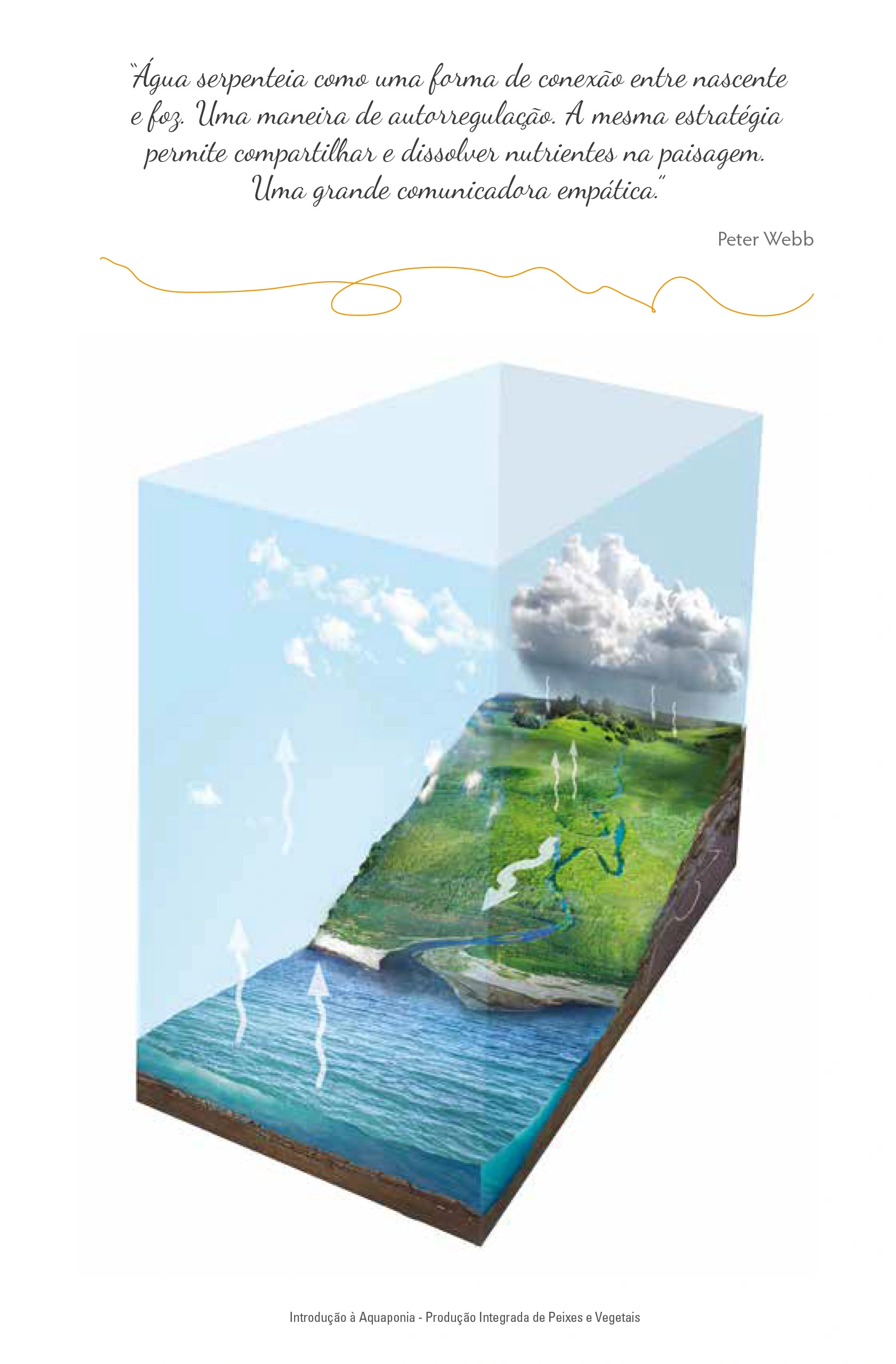 Landscape scale illustration of the same nutrient cycle, drawn across fish, water, plants and soil