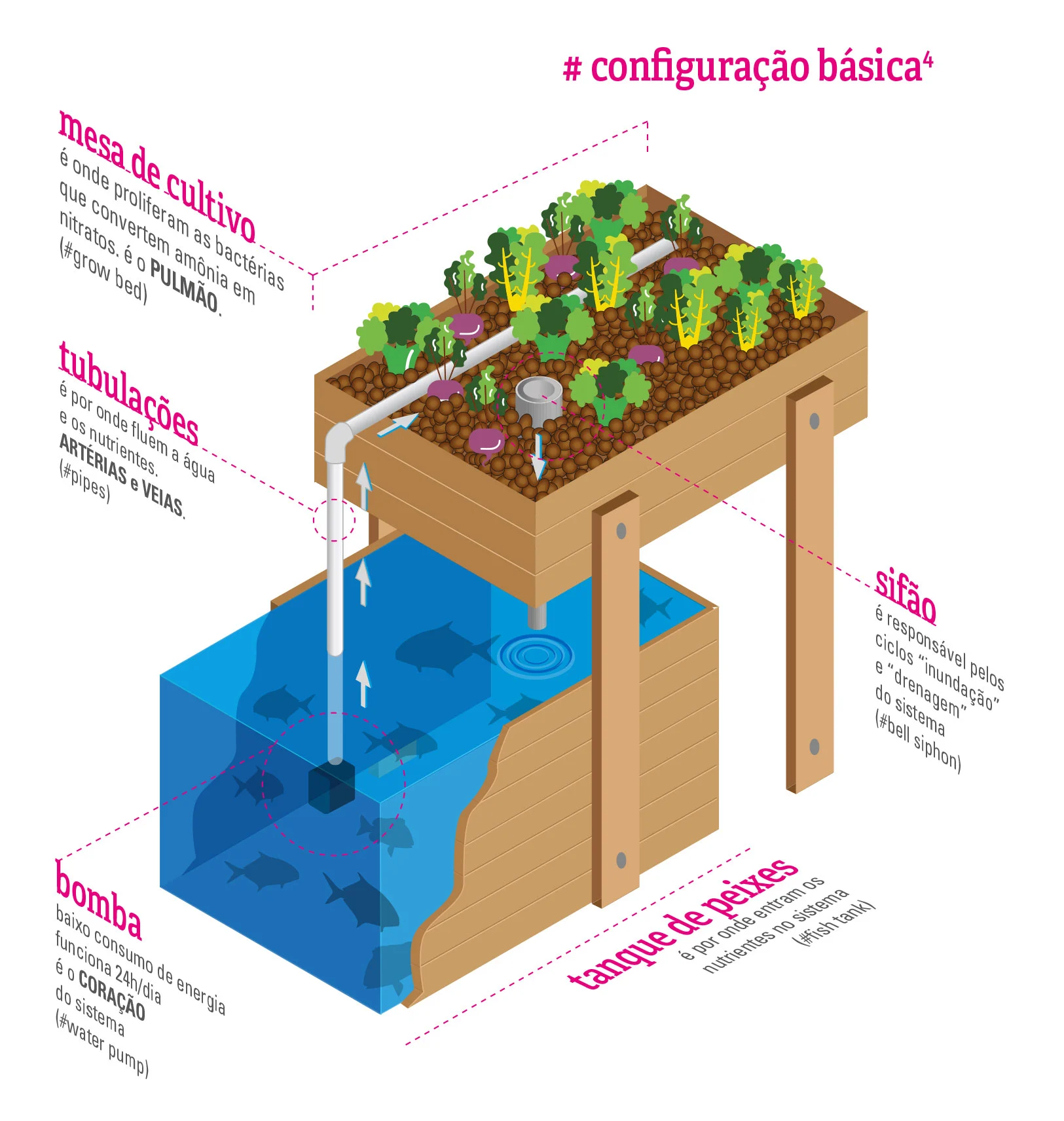 Large isometric illustration of a complete aquaponic system, with fish tank, grow beds, pump and pipework drawn in three dimensions