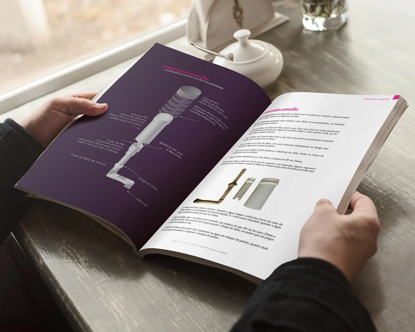 The open book held in two hands, showing the anatomy of the bell siphon across a purple illustrated page and a text page