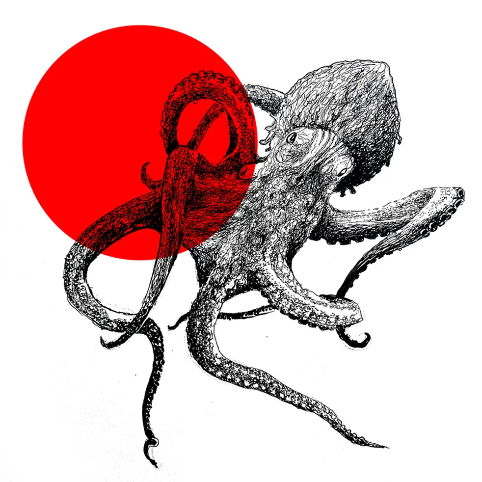 Octopus illustration