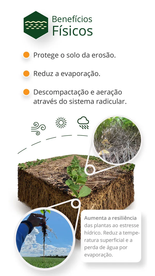 Riza infographic: physical treatments